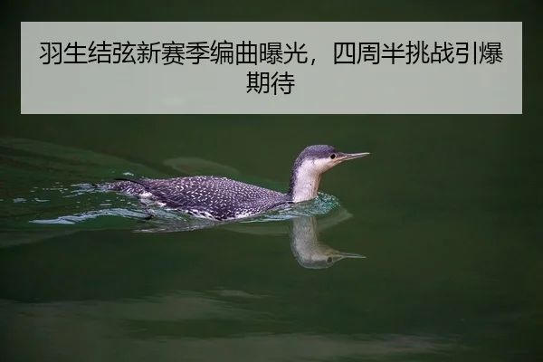 羽生结弦新赛季编曲曝光，四周半挑战引爆期待